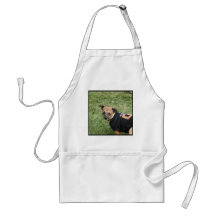 Chihuahua Förkläden