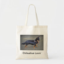 Chihuahua Lovin Kassar