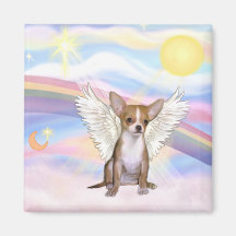 Chihuahua Magneter