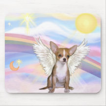 Chihuahua Mus Mattor
