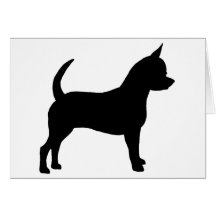 Chihuahuahund Kort