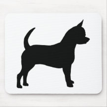Chihuahuahund Mus Matta
