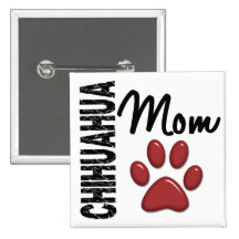 Chihuahuamamma 2 knapp