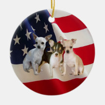 Chihuahuaprydnad Julgranskula