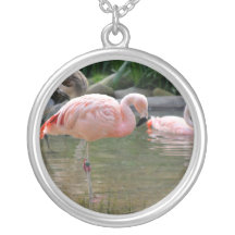 Chilensk Flamingo Smycken