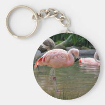 Chilensk Flamingo Nyckelringar