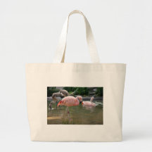 Chilensk Flamingo Tygkassar