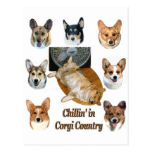 Chillin i Corgiland Vykort