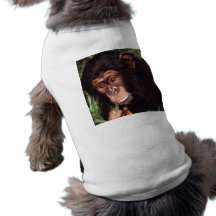 Chimpansee Hund Tshirt