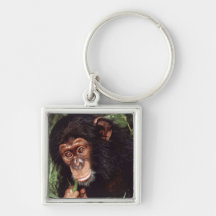 Chimpansee Nyckelringar