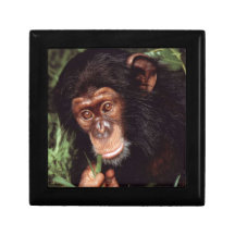 Chimpansee Prydnadslådor