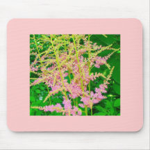 Chinensis mousepad för rosa Astilbe Musmatta