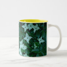 ChineseDogwood Kaffe Koppar