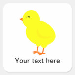 Chirpy den gula babychicken fyrkantiga klistermärken