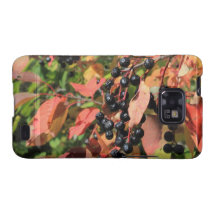 Chokecherry Bush Galaxy S2 Skydd