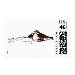 Choklad - brun Lovebirds-Bröllop spara datera