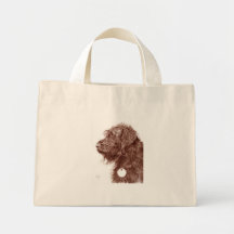 Choklad Labradoodle hänger lös Kasse