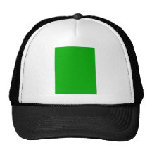Chotoviny tjeckisk republik trucker keps