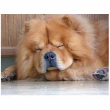 ChowChow Cut Out