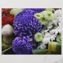 Chrysanthemum Flygblad Designs