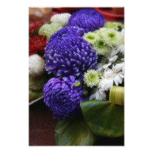 Chrysanthemum Konstfoto