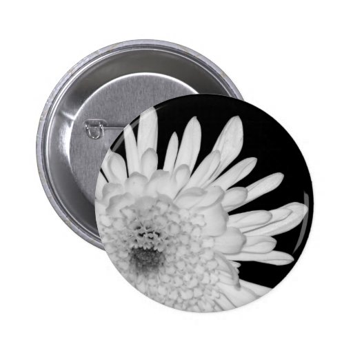 Chrysanthemum Knappar Med Nål