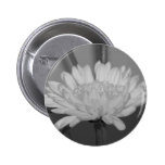 Chrysanthemum Nål