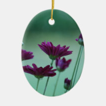 Chrysanthemum och menande julgranskula