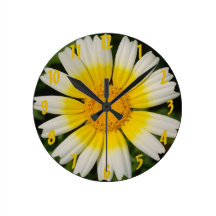 Chrysanthemumväggen tar tid på rundan