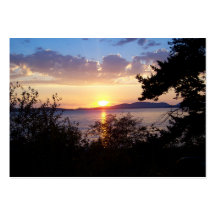 Chuckanut drev visit kort