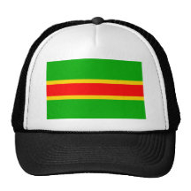 Chvojenec tjeckisk republik baseball hat