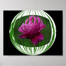 Cirklad blomma print