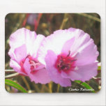 Clarkia Rubicunda Mousepad Mus Matta