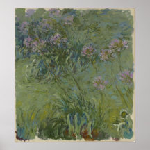 Claude Monet - Agapanthus Print