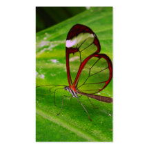 clearwing visitkort mall