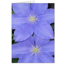 Clematis 2 noterar kortet