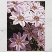 Clematis Flyg Blad