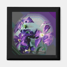 Clematis Kylskåpmagneter