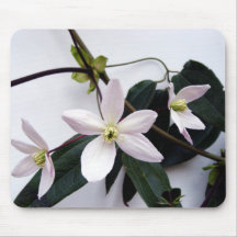 Clematis Mousepad Musmattor