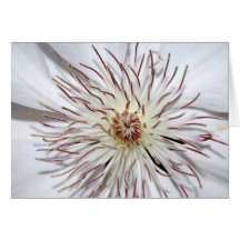 Clematis Notecard Hälsningskort