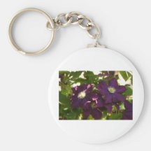 clematis nyckel ringar