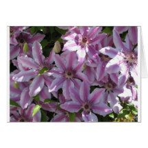Clematisblommor Hälsnings Kort