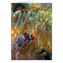 Clownfish födelsedagkort - fotografikort - lycklig