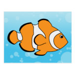 Clownfish Vykort