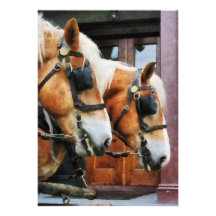 Clydesdale Closeup Anpassade Inbjudan