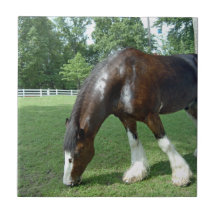 Clydesdale den betande hästen belägger med tegel p keramiska plattor