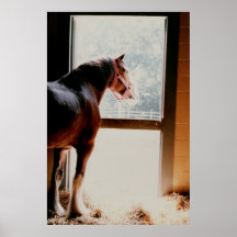 Clydesdale Posters