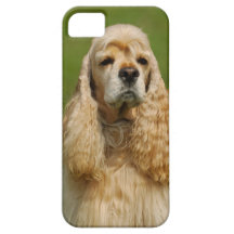 CockerspanielSpaniel iPhone 5 Skydd