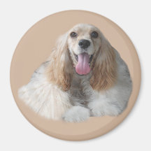 CockerspanielSpaniel som ler magneten Kylskåpsnagnet