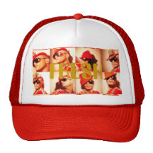 collage50 NY COBYKOEHL Baseball Hat